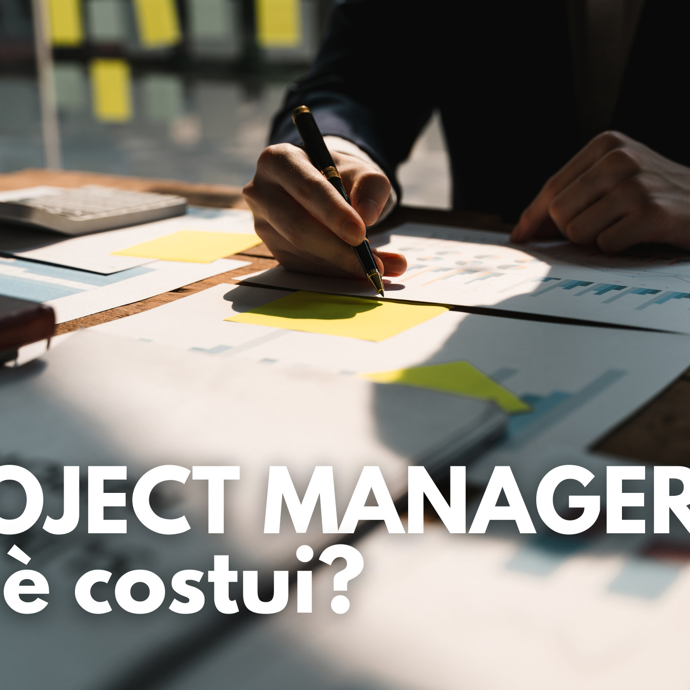 Project Manager: chi è costui?